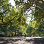Lush trees surround the quad at USC Horseshoe in the Central SC Region